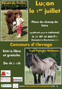 Affiche concours de luçon